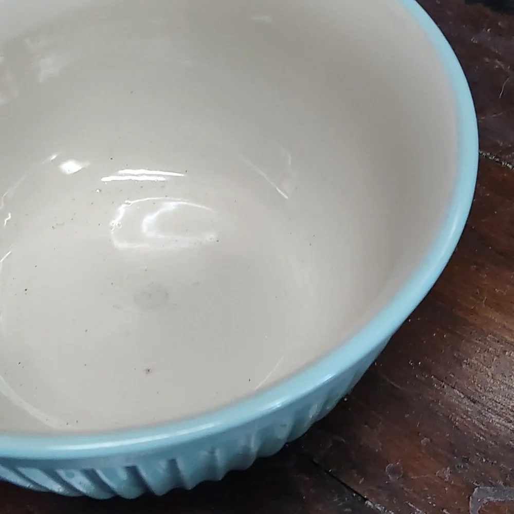 Williams Sonoma Ribbed Ceramic Bowl